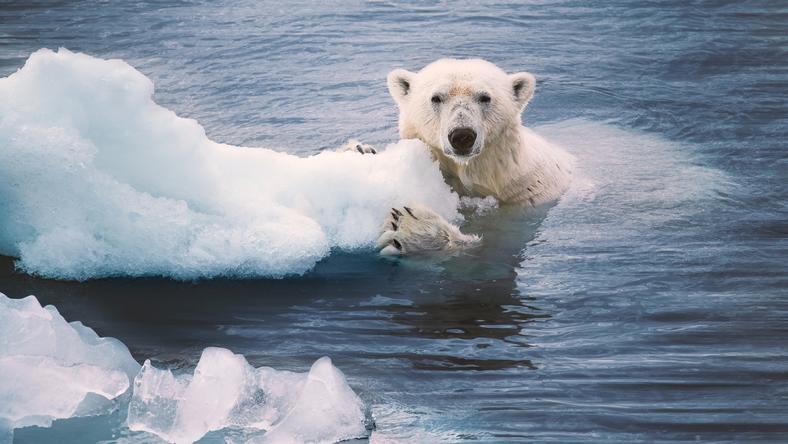 过去1.2万年,全球温度一直在升高?